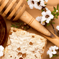 Les 9 bienfaits du miel de Manuka