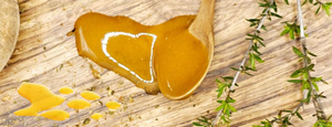 Le miel de Manuka est-il meilleur que le miel normal ? Un guide complet
