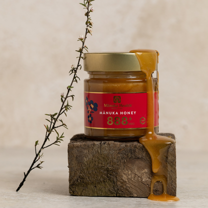 Miel de Manuka MGO 888+ (UMF 20+), Édition limitée